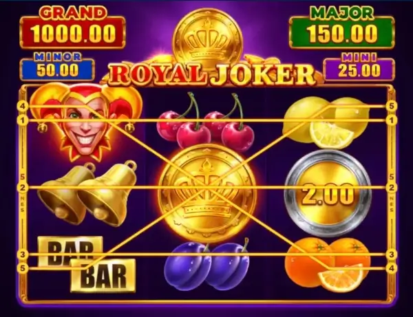Royal Joker Ödeme Hatları